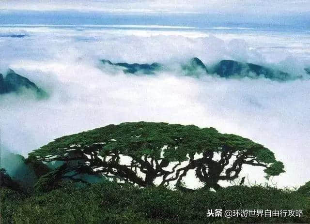 广西八大风景绝美的旅游线路，马上出发还能享景区门票5折优惠！