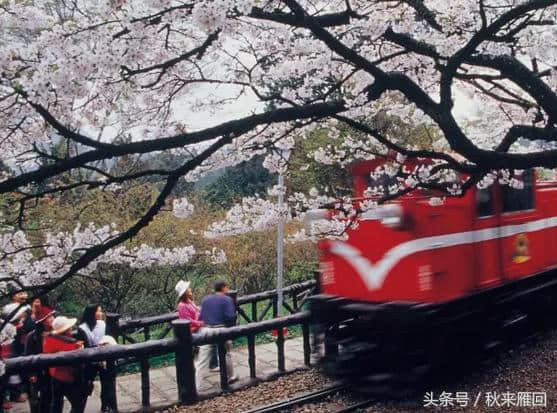 台湾旅游必去的那些景点