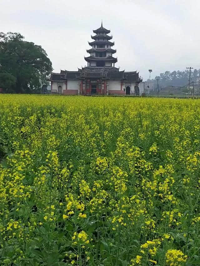 龙岩七景区旅游精品线路攻略之四：历史文化探秘之旅