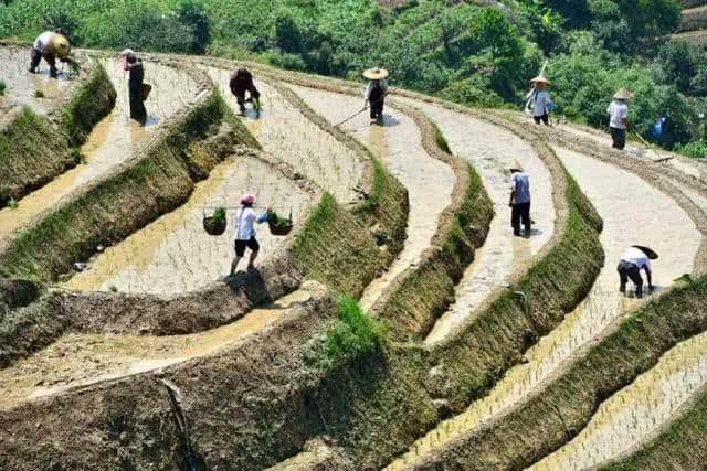 桂林山水——龙脊梯田旅游摄影小贴士