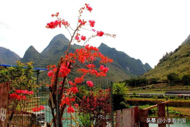 广西巴马长寿村