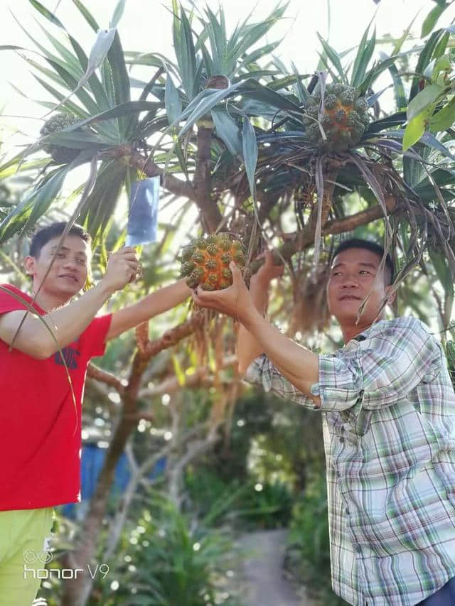 头条 | 钓鱿鱼、捞生蚝、抓螃蟹、住小木屋……防城港藏着一个原生态海岛，超好玩