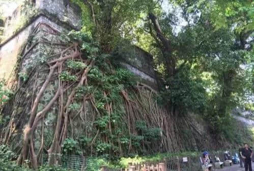 广东最值得旅游的景点，不去一定会后悔，不是越秀公园不是白云山