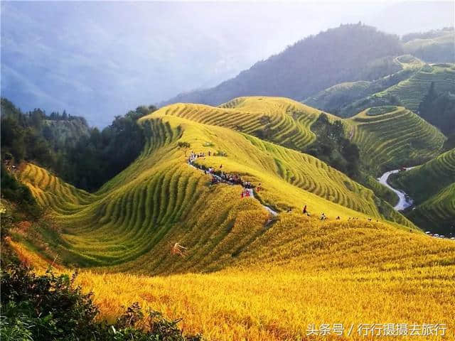 就算你去过龙脊梯田，但这样的龙脊梯田玩法，你一定还没体验过