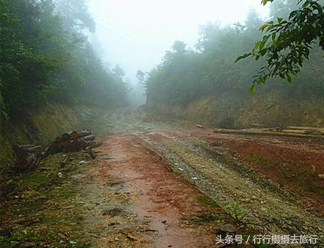 就算你去过龙脊梯田，但这样的龙脊梯田玩法，你一定还没体验过