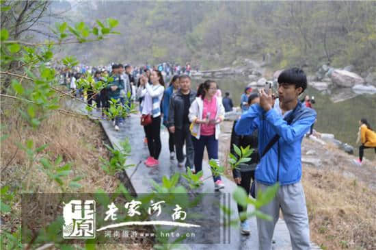 八里沟园区清明假期第一天迎来旅游小高峰