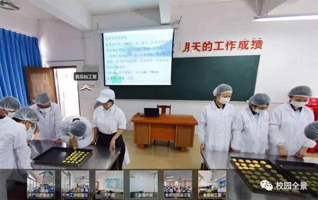 大海的学校~广东省海洋工程职业技术学校 而我是成为海贼王的男人