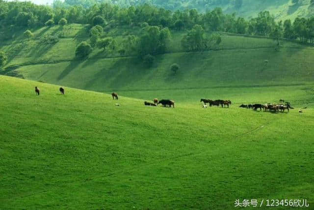 五姑娘报团让老帅哥去关山牧场，骑马爬山拍照留念，游玩的好开心