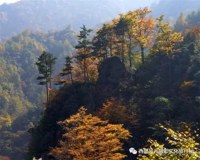 金色光雾山，此时的光雾山秋色蓬勃，山色日佳