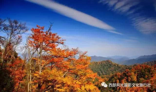 金色光雾山，此时的光雾山秋色蓬勃，山色日佳