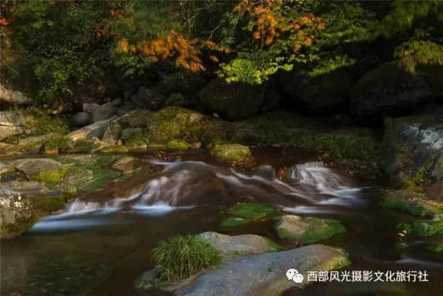 金色光雾山，此时的光雾山秋色蓬勃，山色日佳