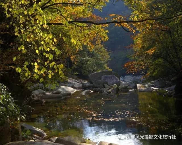 金色光雾山，此时的光雾山秋色蓬勃，山色日佳