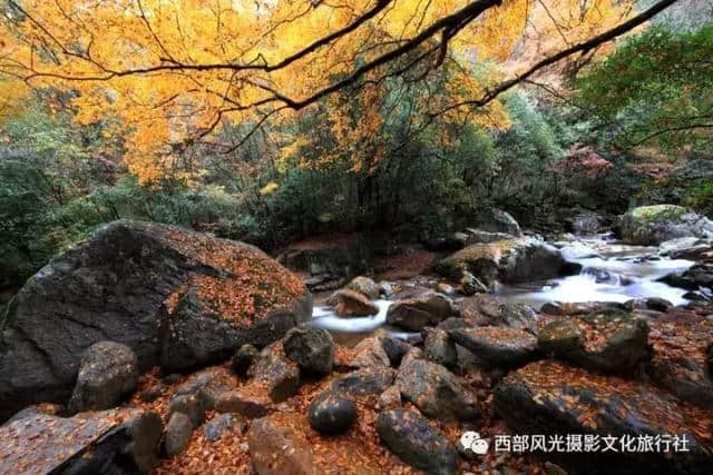 金色光雾山，此时的光雾山秋色蓬勃，山色日佳