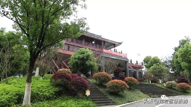 走进大锦山公园，领略龙岩锦绣风景