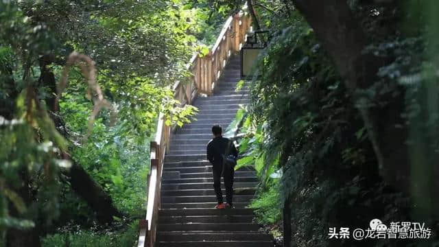 走进大锦山公园，领略龙岩锦绣风景