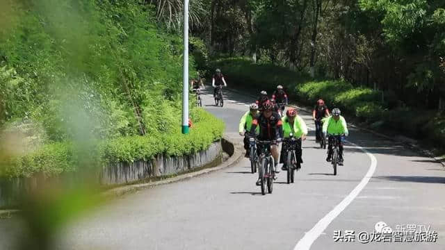 走进大锦山公园，领略龙岩锦绣风景