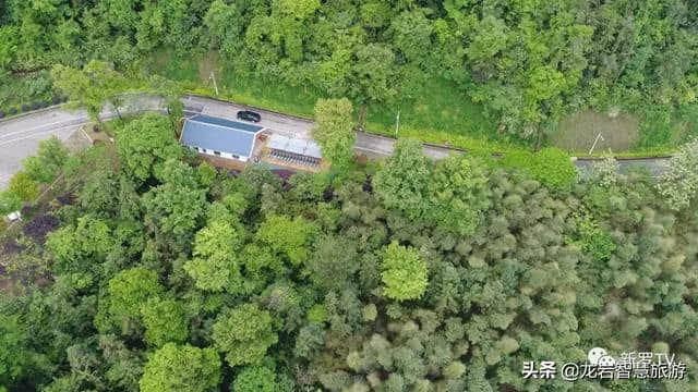 走进大锦山公园，领略龙岩锦绣风景