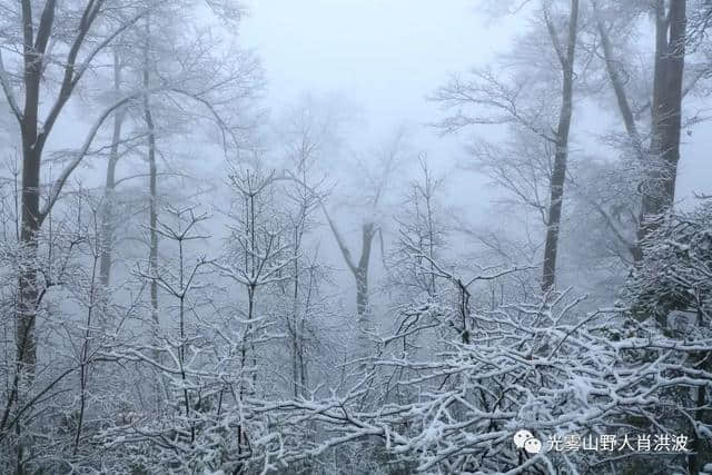 美了美了！光雾山迎来今年第一场雪！