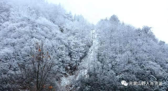 美了美了！光雾山迎来今年第一场雪！