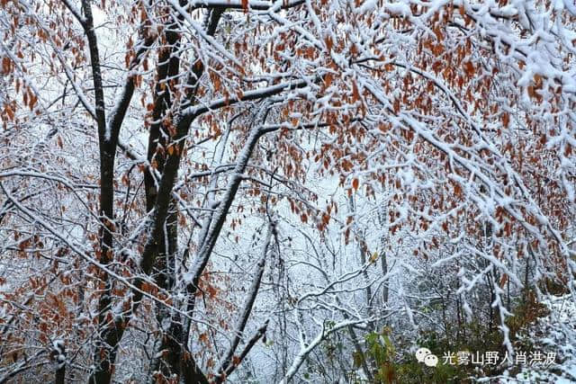 美了美了！光雾山迎来今年第一场雪！