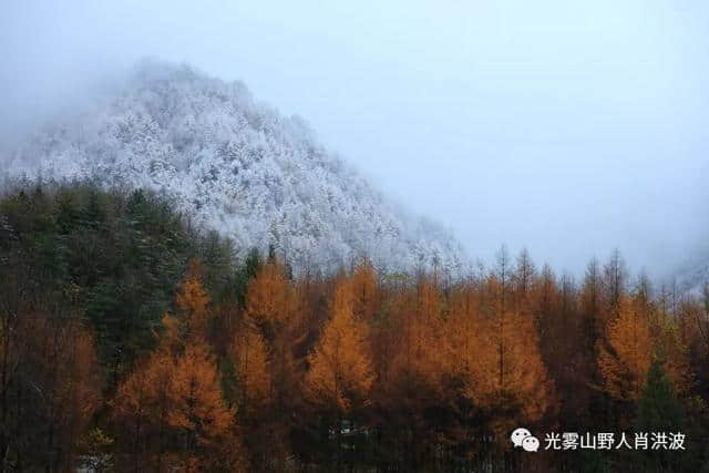 美了美了！光雾山迎来今年第一场雪！