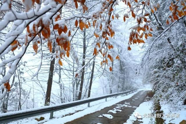 美了美了！光雾山迎来今年第一场雪！