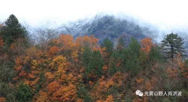 美了美了！光雾山迎来今年第一场雪！