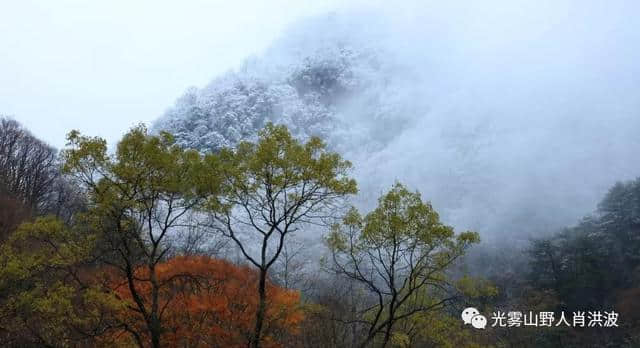 美了美了！光雾山迎来今年第一场雪！