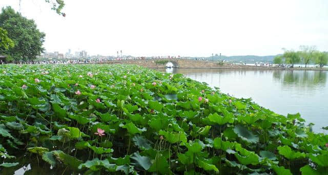 暑期旅游十大热门城市，你想去哪儿玩？