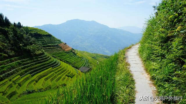 元旦广西游玩，来平安壮寨，看龙脊梯田