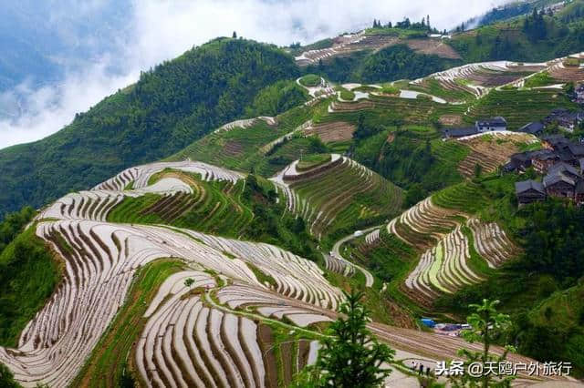 元旦广西游玩，来平安壮寨，看龙脊梯田