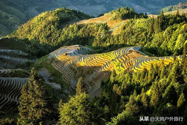 元旦广西游玩，来平安壮寨，看龙脊梯田