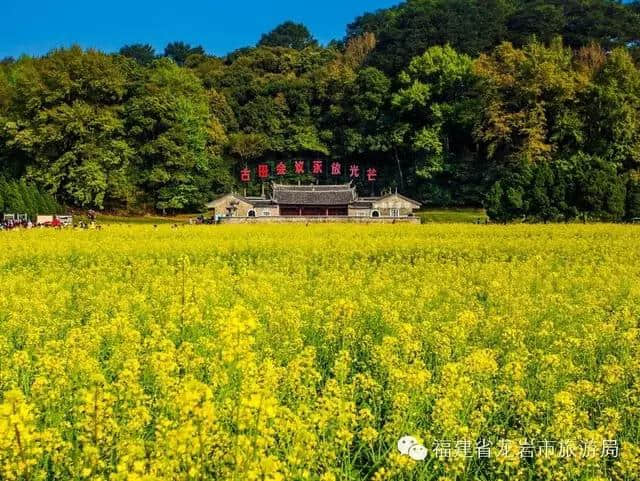 推介团带你走进龙岩~附四季龙岩旅游攻略……