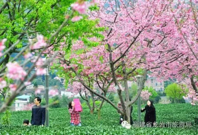 推介团带你走进龙岩~附四季龙岩旅游攻略……