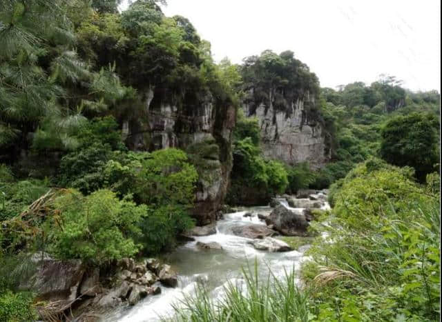 龙岩旅游“七景区”强势来袭！第六站：漳平台创园休闲农业旅游区