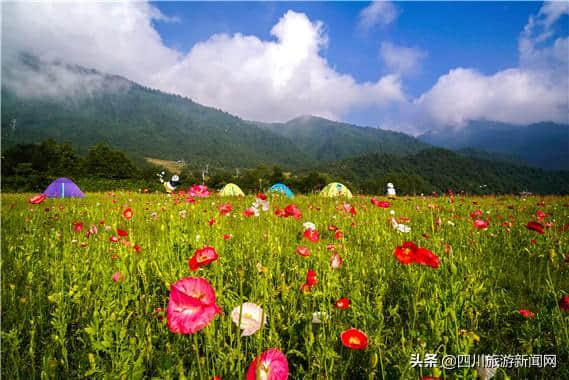 高温来袭 清凉避暑就到西岭雪山