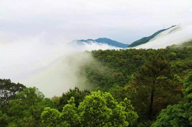 国庆出游不堵车，东莞观音山旅游超实惠