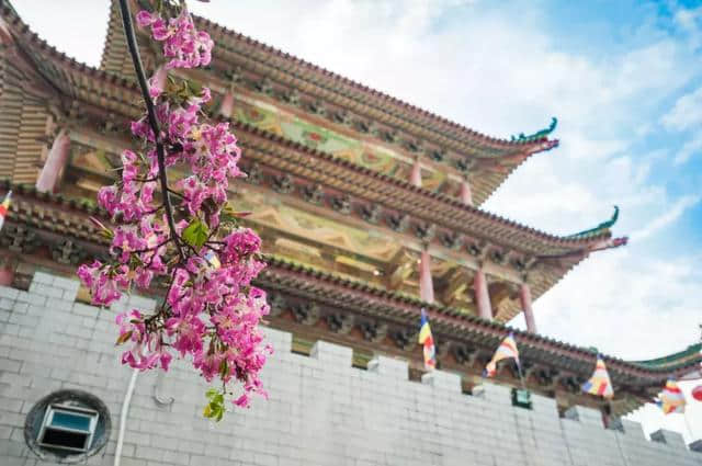 从观音山视角趣解《粤港澳大湾区发展规划纲要》