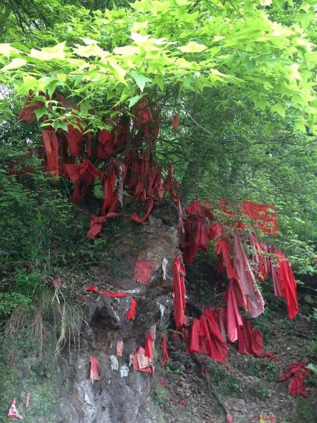 【发现娄底之美】“山水涟源”系列：洪水岭森林公园