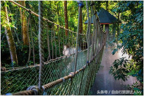 西双版纳旅游攻略值得一去的风景名胜