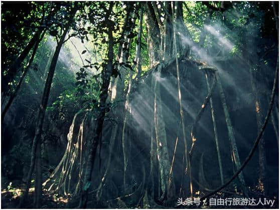 西双版纳旅游攻略值得一去的风景名胜