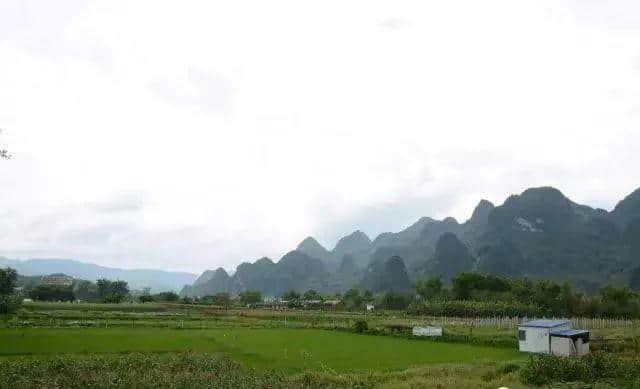 推荐 | 净水千湖染蓬莱，长寿河畔渡神仙，瑶家阿妹带你感受河池巴马的独特魅力