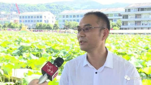 瑞安：以“荷”为媒！开发观光旅游 助力乡村振兴