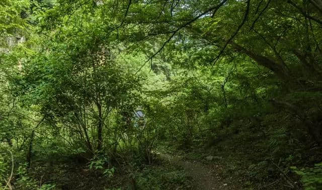 赞爆！延庆玉龙大峡谷游山玩水两不误，夏天就该来这里！