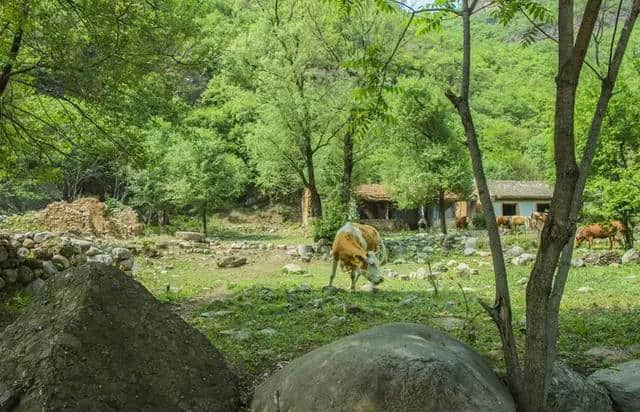 赞爆！延庆玉龙大峡谷游山玩水两不误，夏天就该来这里！