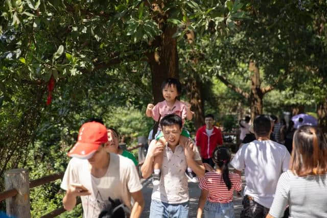 1月12日，第二届观音山新春登高祈福行来袭