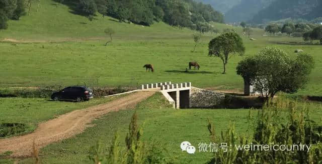 关山牧场 魅力光影