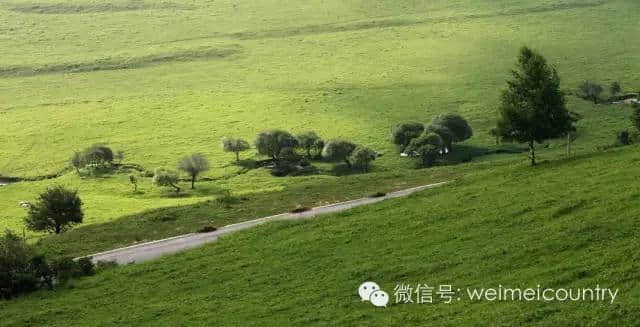 关山牧场 魅力光影