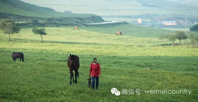 关山牧场 魅力光影