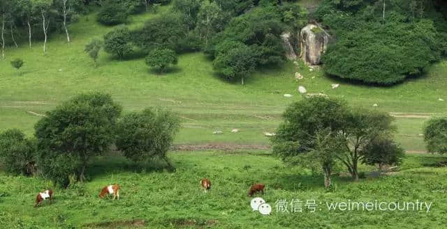 关山牧场 魅力光影